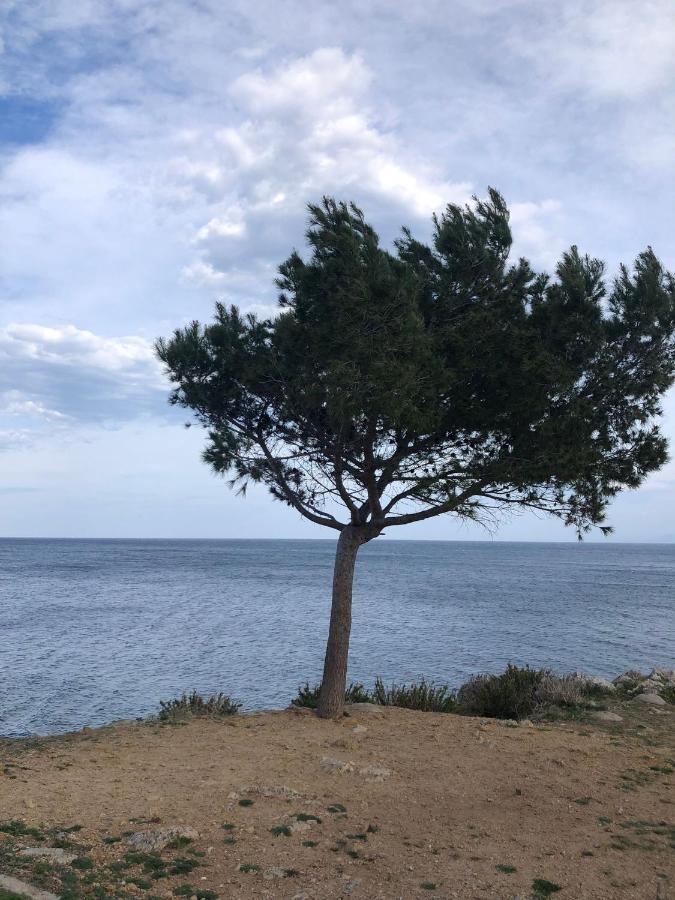 Casa Vacanze Da Maurizio 圣塔·弗拉维亚 外观 照片